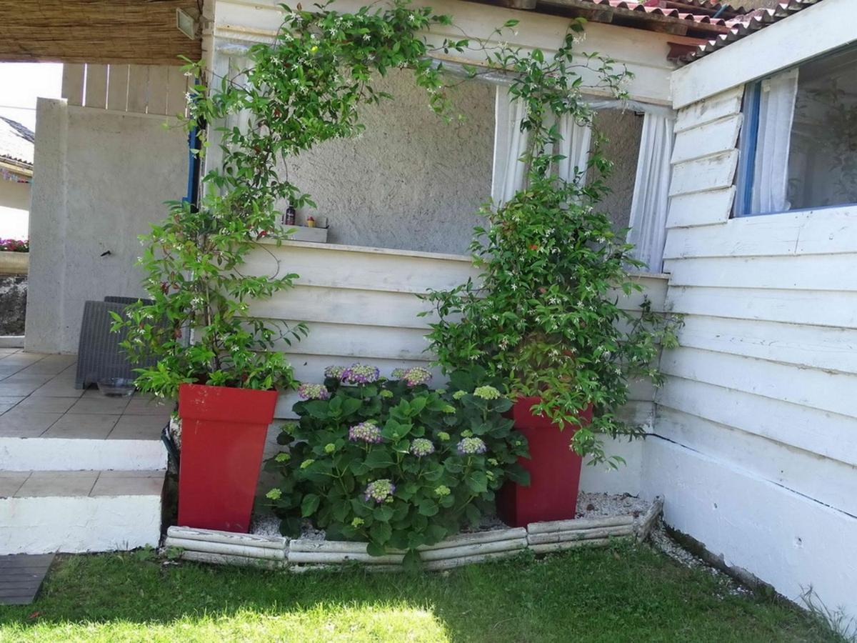 Villa Casa Pentone Cervione Exterior foto