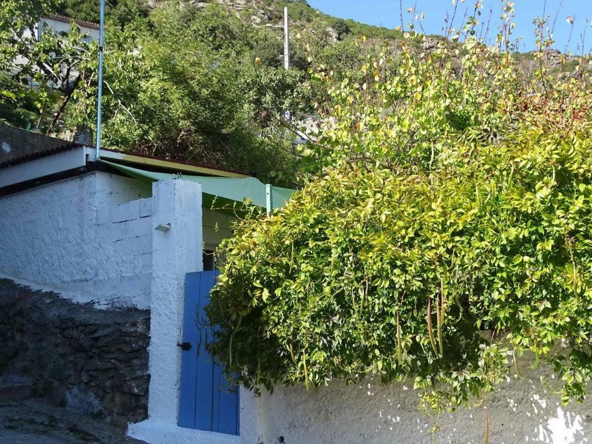 Villa Casa Pentone Cervione Exterior foto
